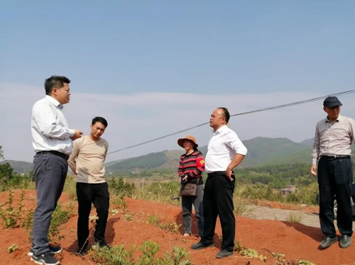 宁远:果蔬专家齐把脉,助力乡村同振兴2_副本500.jpg 宁远:果蔬专家齐把脉,助力乡村同振兴2_副本500.jpg