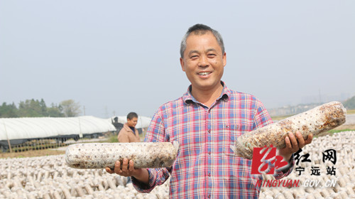 【稳就业 强基础 富家乡】宁远：特色种植助推乡村振兴2_副本500.jpg