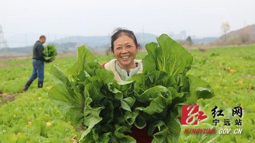 宁远：执纪监督增强群众幸福感8_副本500.jpg