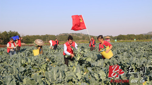 宁远：执纪监督增强群众幸福感2 副本500.jpg