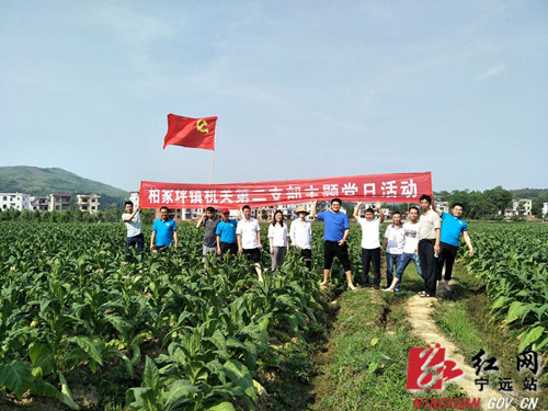 宁远：党员干部来帮忙  保障烟农“钱袋子”_副本500.jpg