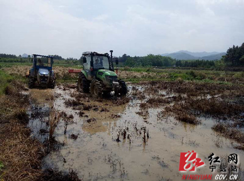 宁远乡镇多举措强力推进耕地抛荒治理工作_副本500.jpg