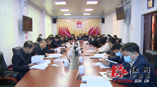 宁远召开2021年第一次国土空间规划委员会会议_副本500.jpg