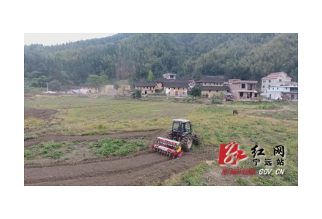 乡村振兴丨宁远：修缮古村种油菜 他日黄花映土楼