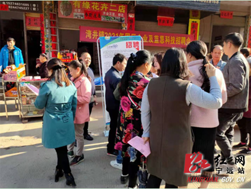 宁远：主题活动助推求职者与企业成功牵手 拷贝.jpg