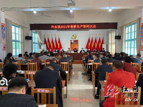 宁远乡镇全力做好早稻生产 坚决守住粮食安全底线1000 拷贝.jpg