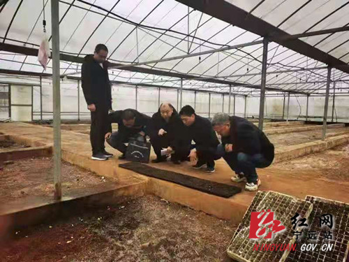 宁远科技特派员赋能春耕生产_副本500.jpg