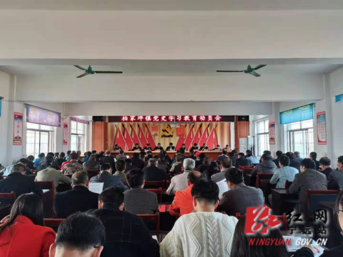 宁远柏家坪镇召开党史学习教育动员会_副本500.jpg