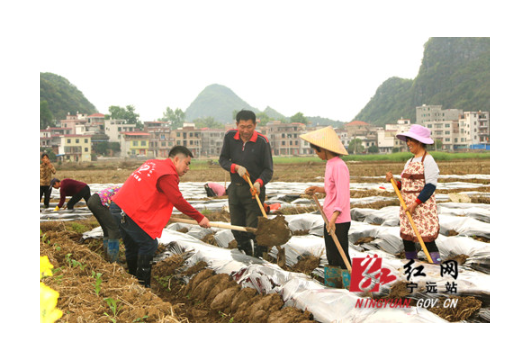 喜报 宁远县妇联荣获 全国巾帼文明岗 称号