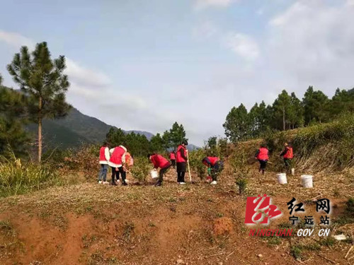 宁远：巾帼凝聚党旗下 三八节前助春耕_副本500.jpg