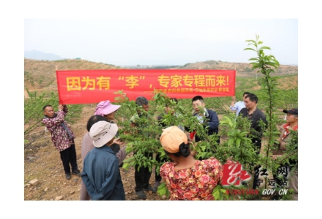 宁远：科技特派员打造“技术联盟”