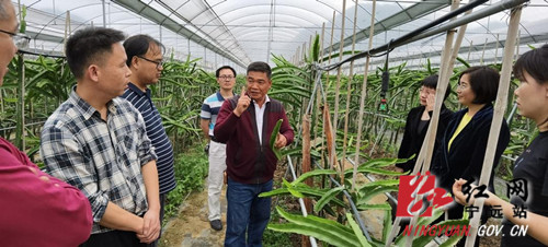 宁远举行2021年科技活动周科技示范基地观摩活动_副本500.jpg