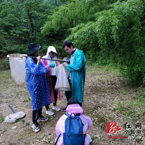 宁远：南岭（西区）昆虫多样性考察组在九嶷山进行科考_副本500.jpg