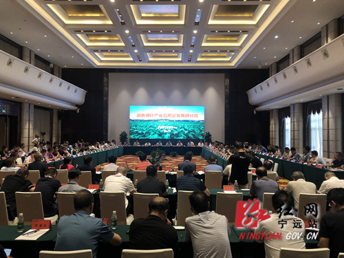 湖南烟叶产业高质量发展研讨会在宁远召开_副本500.jpg