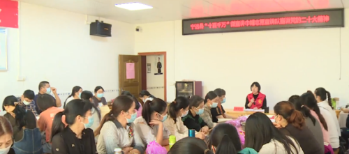宁远县组织巾帼志愿宣讲队开展党的二十大精神微宣讲_副本500.png