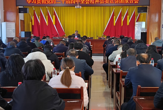 【学习贯彻党的二十届四中全会精神】宁远：欧阳国春在清水桥镇宣讲党的二十届四中全会精神
