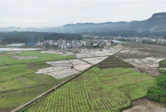 宁远：机械化插秧抢农时 春耕生产按下“快进键”