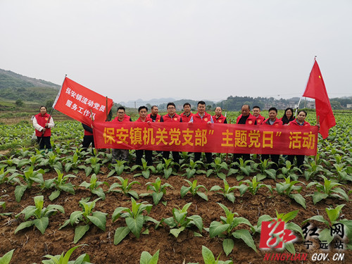 宁远：主题党日“接地气” 支部活动“党味浓”2_副本500.jpg