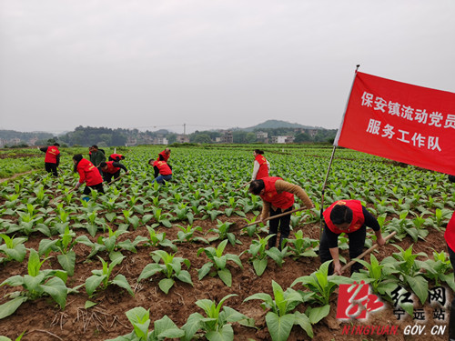 宁远：主题党日“接地气” 支部活动“党味浓”_副本500.jpg