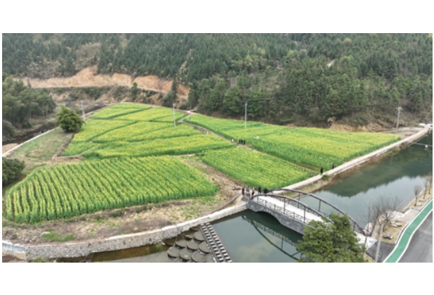 【九嶷山景区奋力冲刺AAAAA】宁远水市镇：文旅融合结硕果 激活乡村振兴“新引擎”