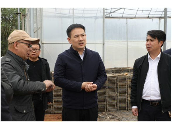 宁远：林亮亮调研春耕生产和农业产业工作
