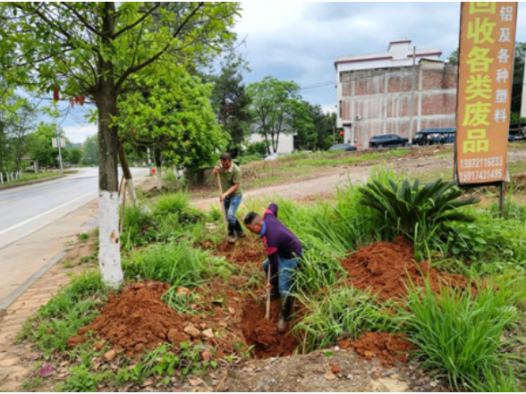 宁远县文庙街道：人居环境“焕新” 和美乡村“提颜”