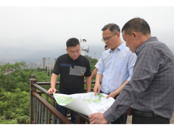 毛政调研绿化提质改造工作