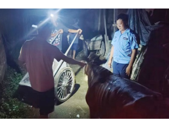 宁远公安：无人机+热成像 丢失的牛找到了
