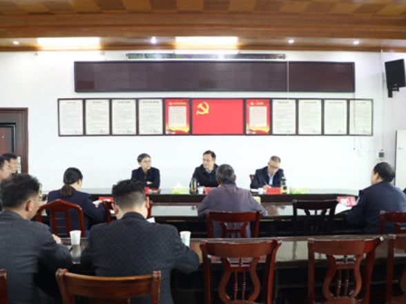 宁远：毛政到湾井镇公开接待来访群众