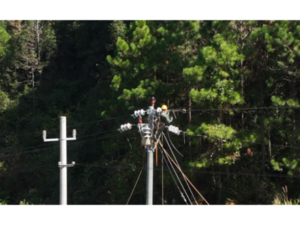 国网宁远县供电公司：线路升级改造 服务民生暖人心