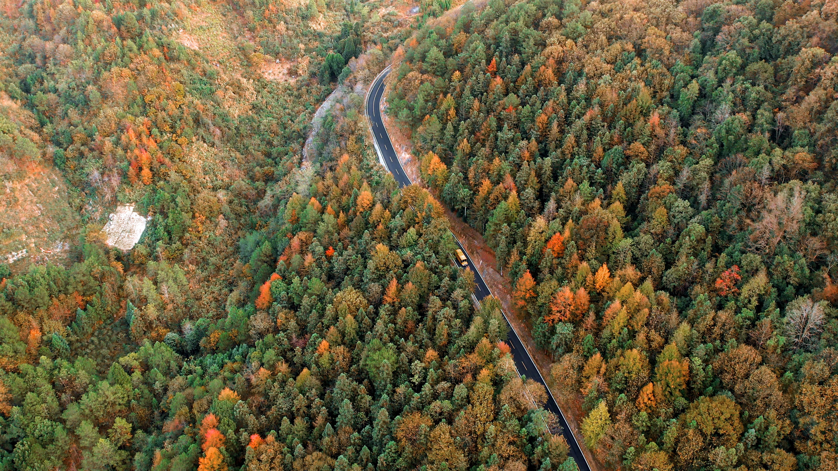 DJI_0054.MP4_20221112_090840.048.jpg