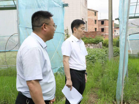 宁远：胡勇刚调研晚稻生产工作