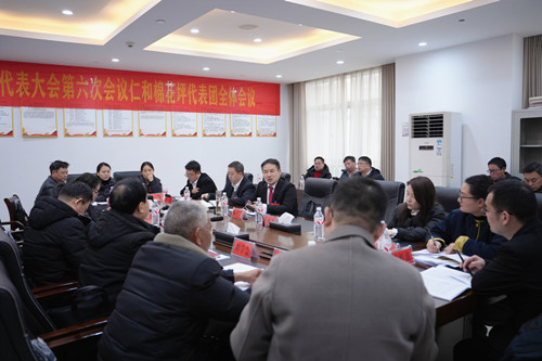 【聚焦两会】林亮亮参加仁和、棉花坪代表团讨论_副本500.jpg 【聚焦两会】林亮亮参加仁和、棉花坪代表团讨论_副本500.jpg