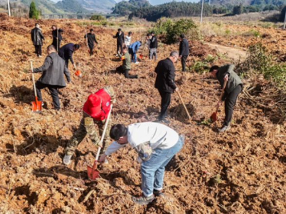 宁远县湾井镇：义务植树助振兴