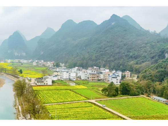 宁远：东江村千亩花海绽放 音乐节即将启幕