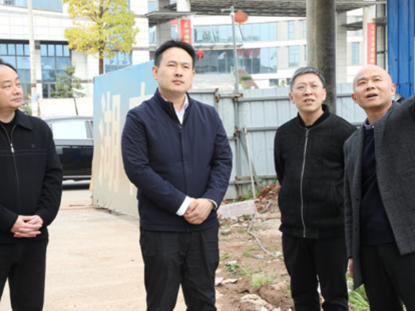 林亮亮调研重点企业工作