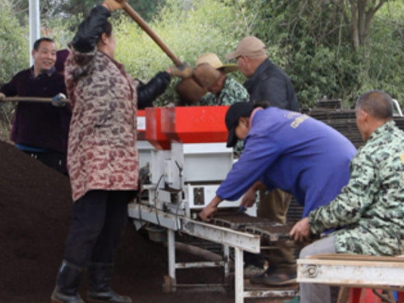 宁远：抢抓农时育早稻 科技赋能备春耕