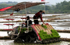 宁远：抢抓农时插秧忙