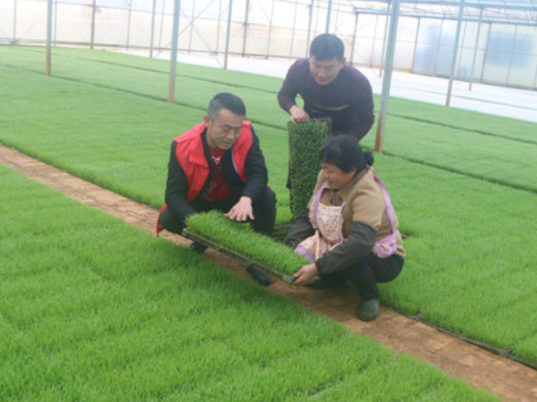 宁远：春日农事忙 沃野绘“丰”景（组图）