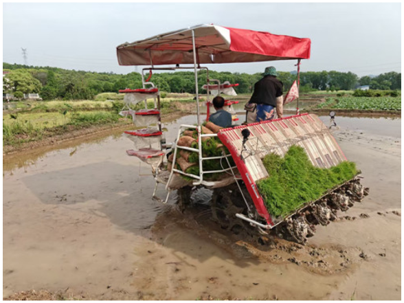 宁远县柏家坪镇：粮食安全放心上 春耕生产正当时