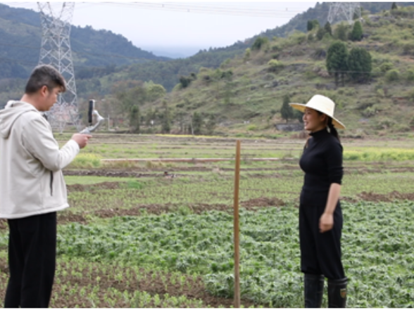 宁远县柏家坪镇：百合长势喜人 “直播引流”拓市场