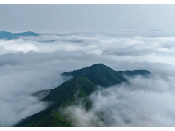 【美景不远·就在宁远】宁远：仙子山云海升腾绘就生态画卷