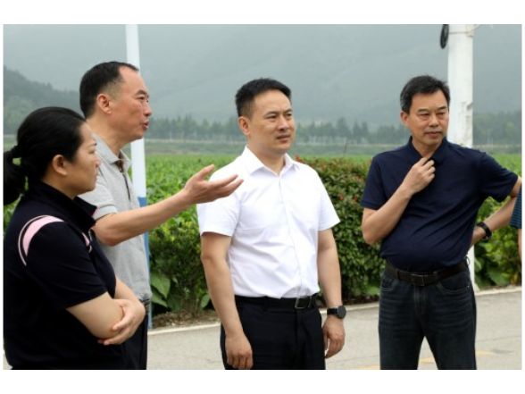 宁远：林亮亮调研烟叶生产工作