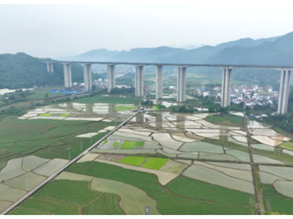 宁远：机械化种粮让农民当上“甩手掌柜”