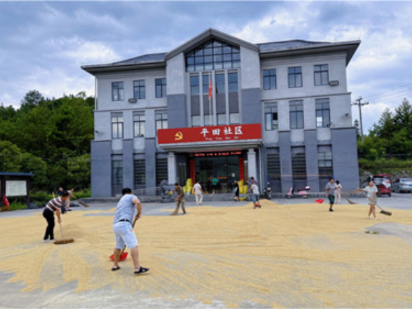 宁远县清水桥镇：便民晒谷场托起乡村丰收暖心图景