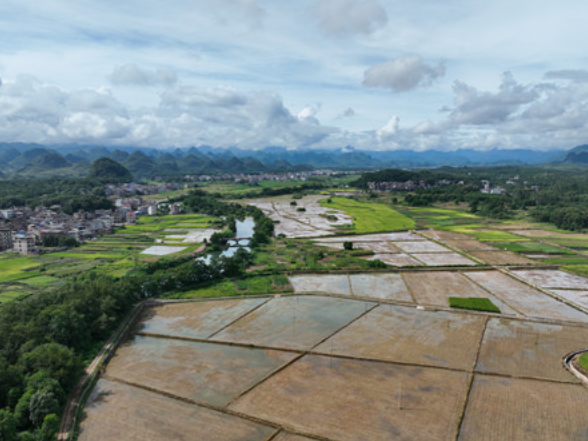 【美景不远·就在宁远】宁远冷水镇：泠江润沃土 田园入画卷
