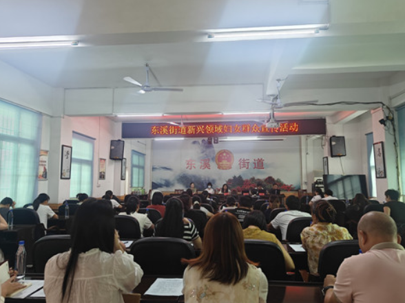 宁远县东溪街道：开展新兴领域妇女专题宣讲活动