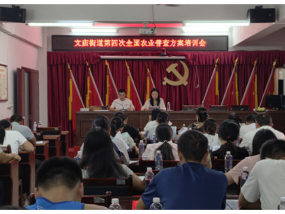 宁远县文庙街道：“培训+宣传”双轮驱动 筑牢“四农普”工作基础