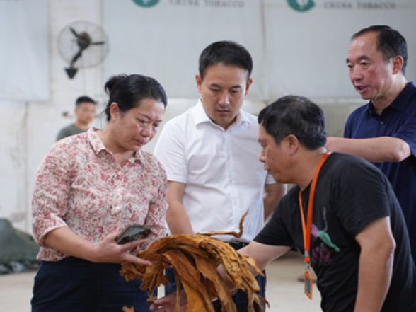 林亮亮调研烟叶产业发展工作
