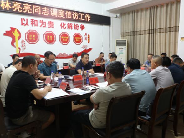 林亮亮调度全县信访工作并约访信访对象